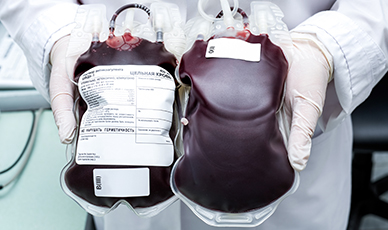 Plástico e Doação de Sangue