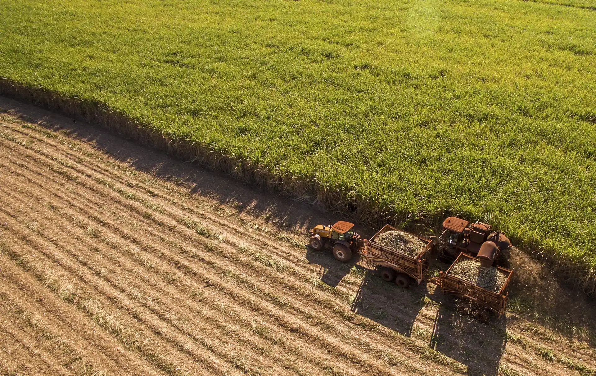 Responsible Ethanol Sourcing