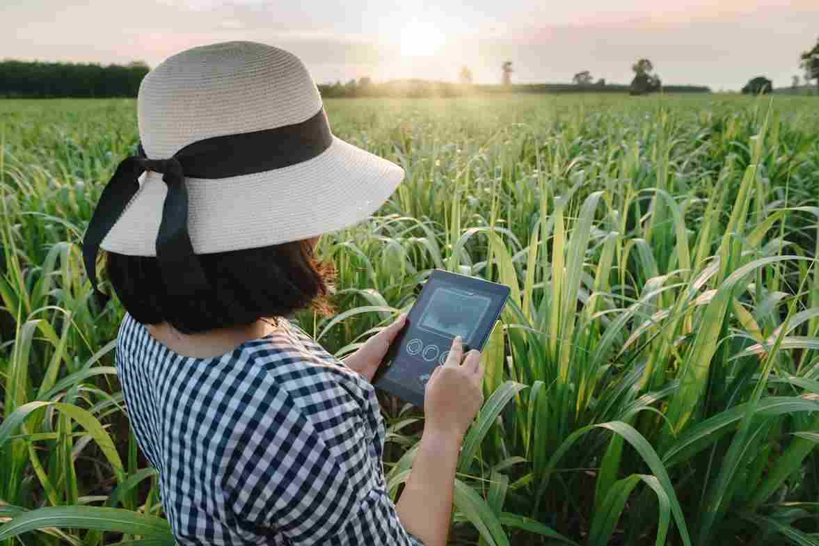 Braskem destaca soluções do plástico e iniciativas sustentáveis na Agrishow 2023
