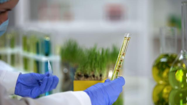 Braskem refuerza su estrategia global en renovables con el desarrollo de tecnología para bioacetona