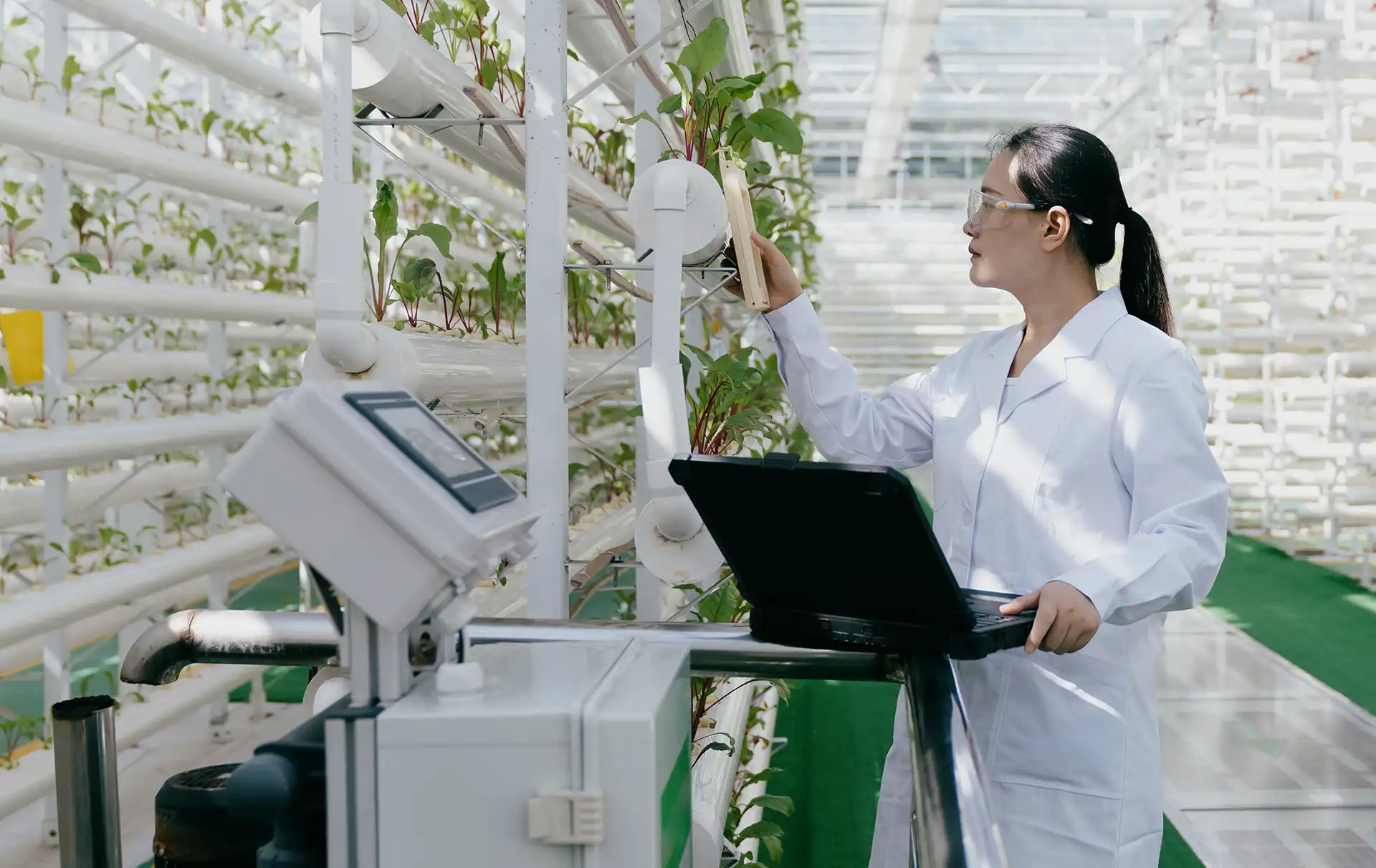 Sustainable Portfolio