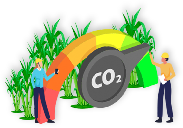 Lucha contra el cambio climático