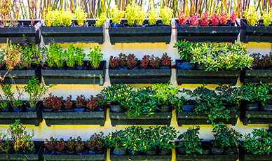 O plástico deixa o seu jardim ou terraço mais colorido e moderno.