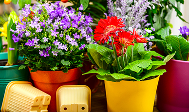 O plástico deixa o seu jardim ou terraço mais colorido e moderno.