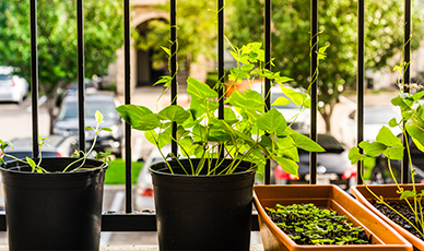 O plástico deixa o seu jardim ou terraço mais colorido e moderno.