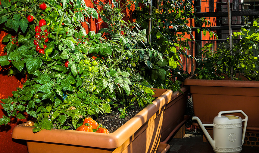 O plástico deixa o seu jardim ou terraço mais colorido e moderno.